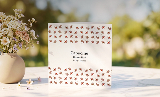 Cartes de voeux personnalisées Photoweb