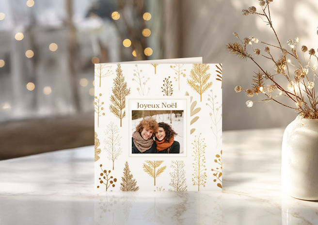 CARTE-DE-NOEL-PHOTOWEB-PP-PRINCIPALE